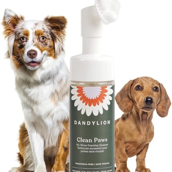 Dandylion Clean Paws