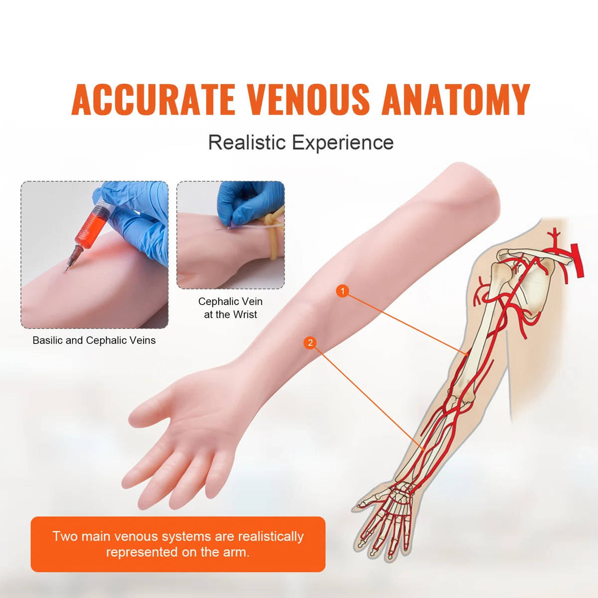 VEVOR Phlebotomy Practice Kit - Image 3